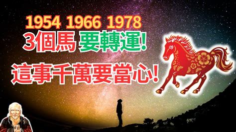 1978年屬什麼|1978年屬馬是什麼命，1978年出生人的命運